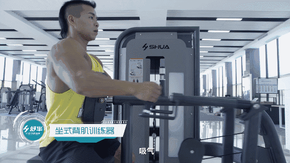 健身器材 健身器材